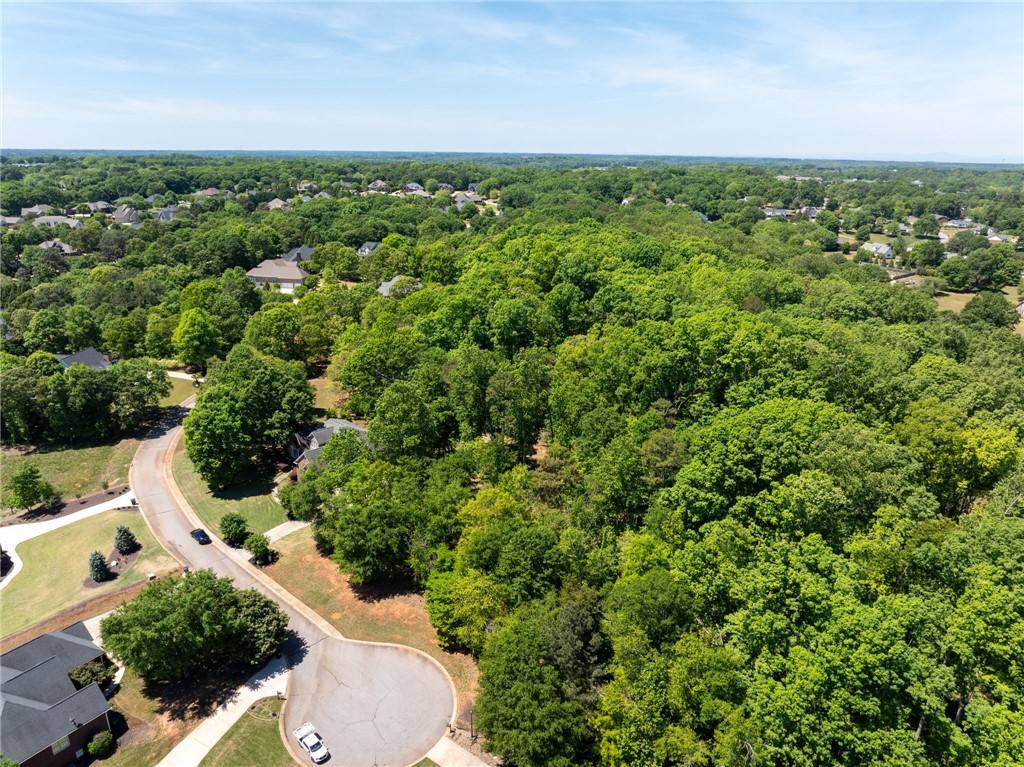 131 Loudwater Drive Anderson, SC 29621 - Photo 14 of 20 This elevated view captures a serene residential landscape nestled amidst lush, mature trees and winding roads.