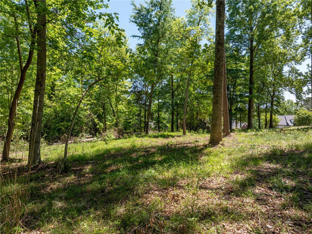 131 Loudwater Drive Anderson, SC 29621 - Photo 16 of 20 This spacious lot offers a beautiful wooded setting, perfect for building your dream home.