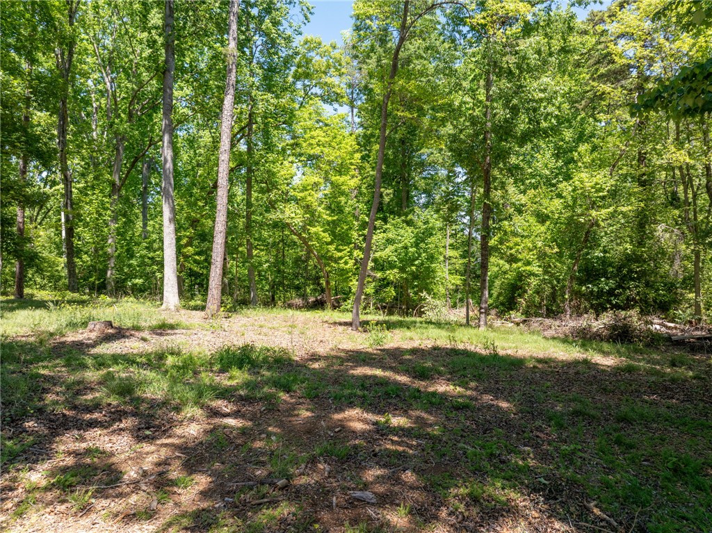 131 Loudwater Drive Anderson, SC 29621 - Photo 17 of 20 This serene wooded lot offers ample space and natural beauty for your dream home.