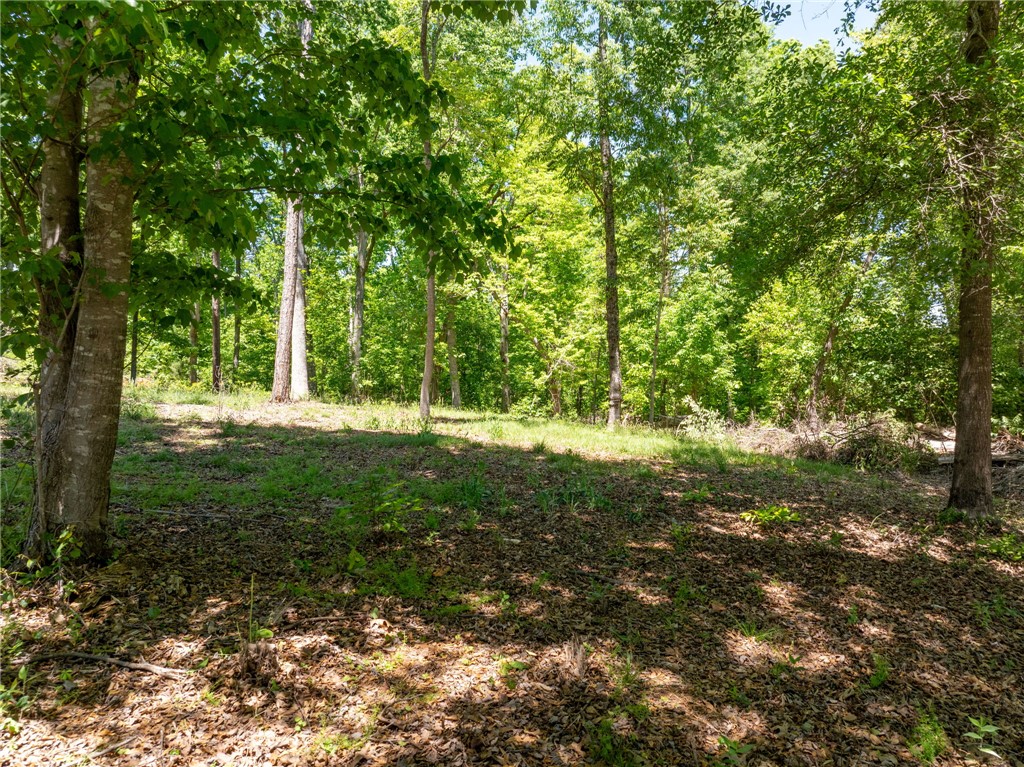 131 Loudwater Drive Anderson, SC 29621 - Photo 18 of 20 This tranquil wooded lot offers a peaceful retreat with lush greenery and ample space for development.