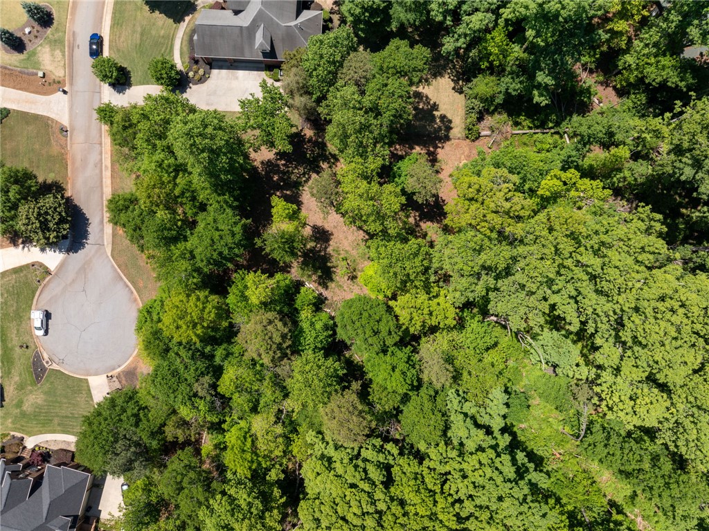 131 Loudwater Drive Anderson, SC 29621 - Photo 2 of 20 This aerial view showcases a vibrant lot surrounded by lush trees and a winding road.