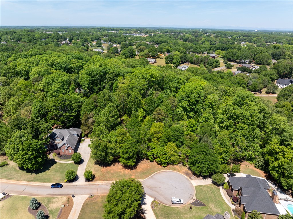 131 Loudwater Drive Anderson, SC 29621 - Photo 5 of 20 This verdant aerial view reveals a sprawling estate nestled amongst abundant mature trees and lush landscaping.