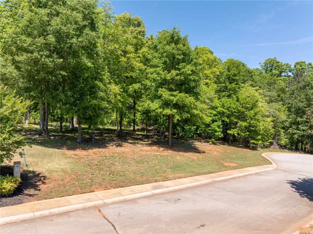 131 Loudwater Drive Anderson, SC 29621 - Photo 7 of 20 This spacious lot offers a lush, natural setting with mature trees, ideal for building a private residence.