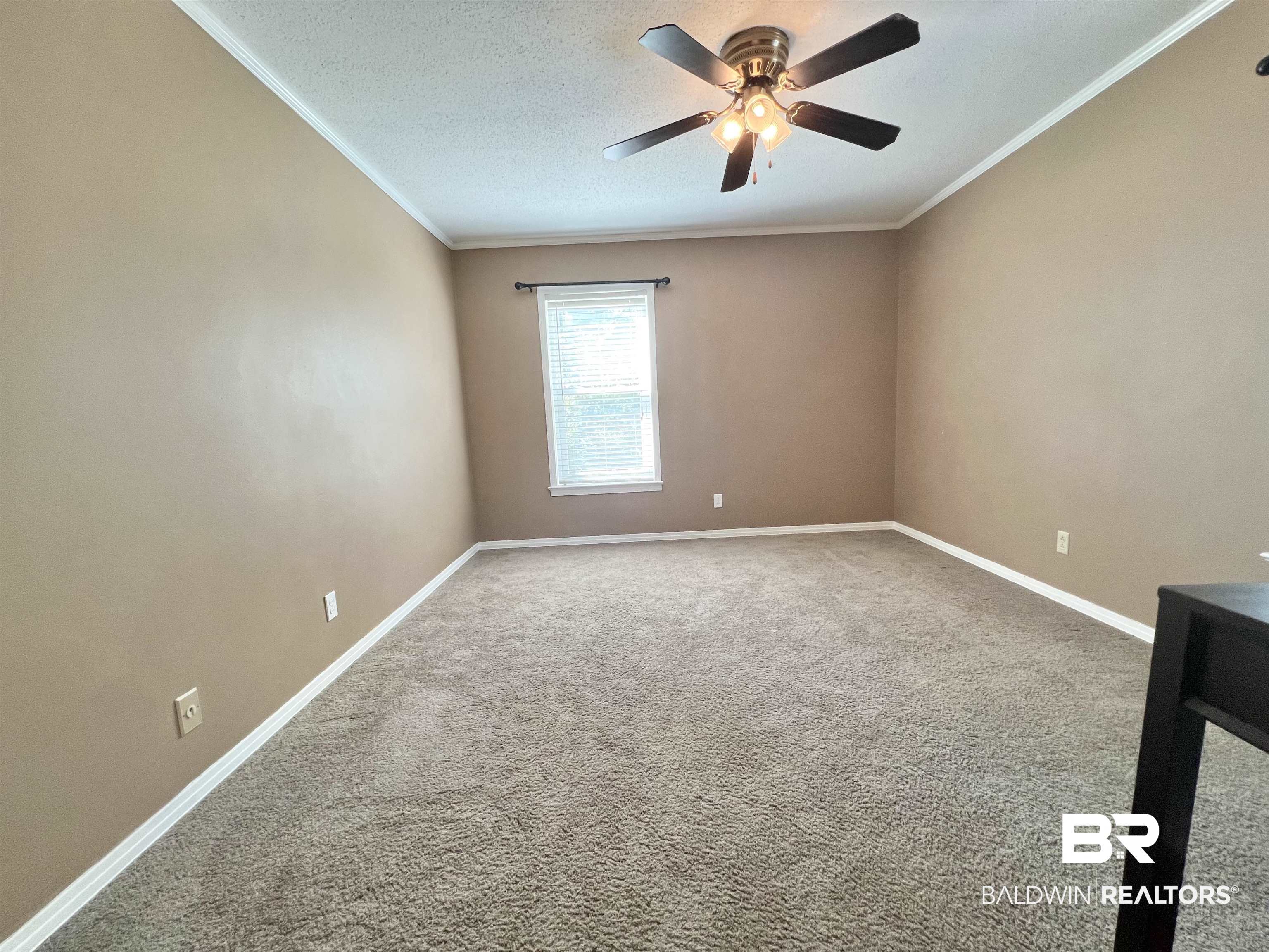 2691 Appleton Road Brewton, AL 36426 - Photo 28 of 60 Spare room with ornamental molding, carpet floors, and a textured ceiling