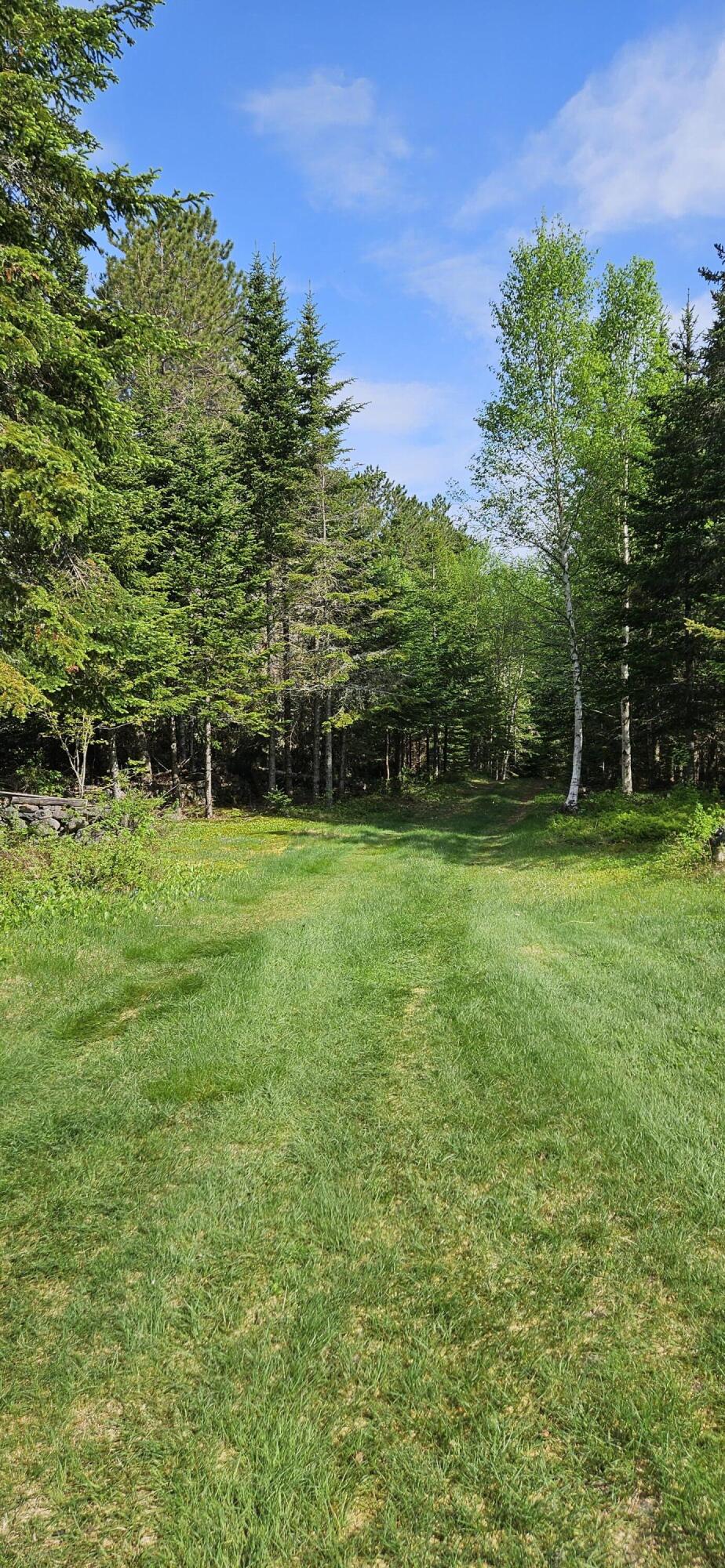 1112 East B Hill Road Upton, ME 04261 - Photo 35 of 39 Yard and driveway