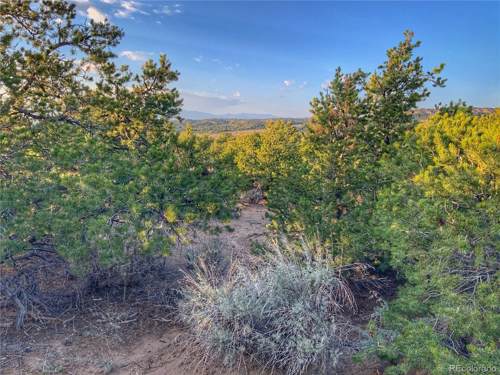18591 Wilking Road Fort Garland, CO 81133 - Photo 27 of 35 Gallery Image 27