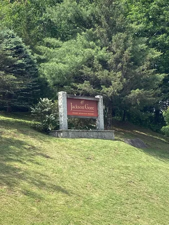 $530,000 | 491 Alpine Drive, Mount Holly, VT 05758