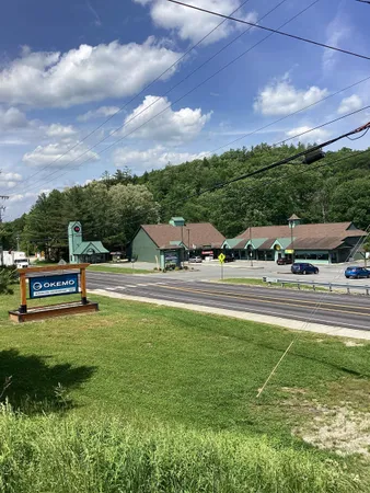 $530,000 | 491 Alpine Drive, Mount Holly, VT 05758