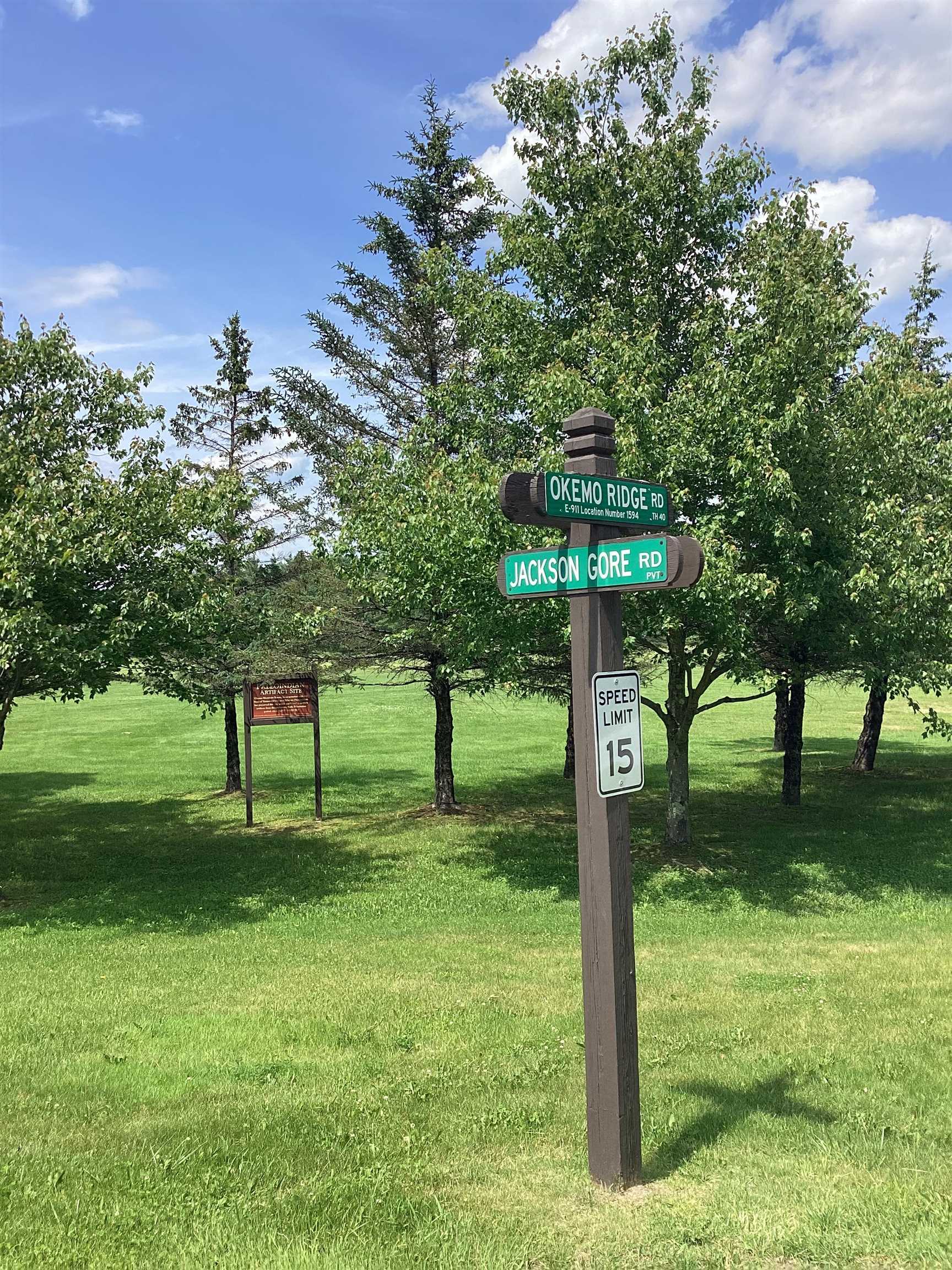 491 Alpine Drive Mount Holly, VT 05758 - Photo 58 of 60