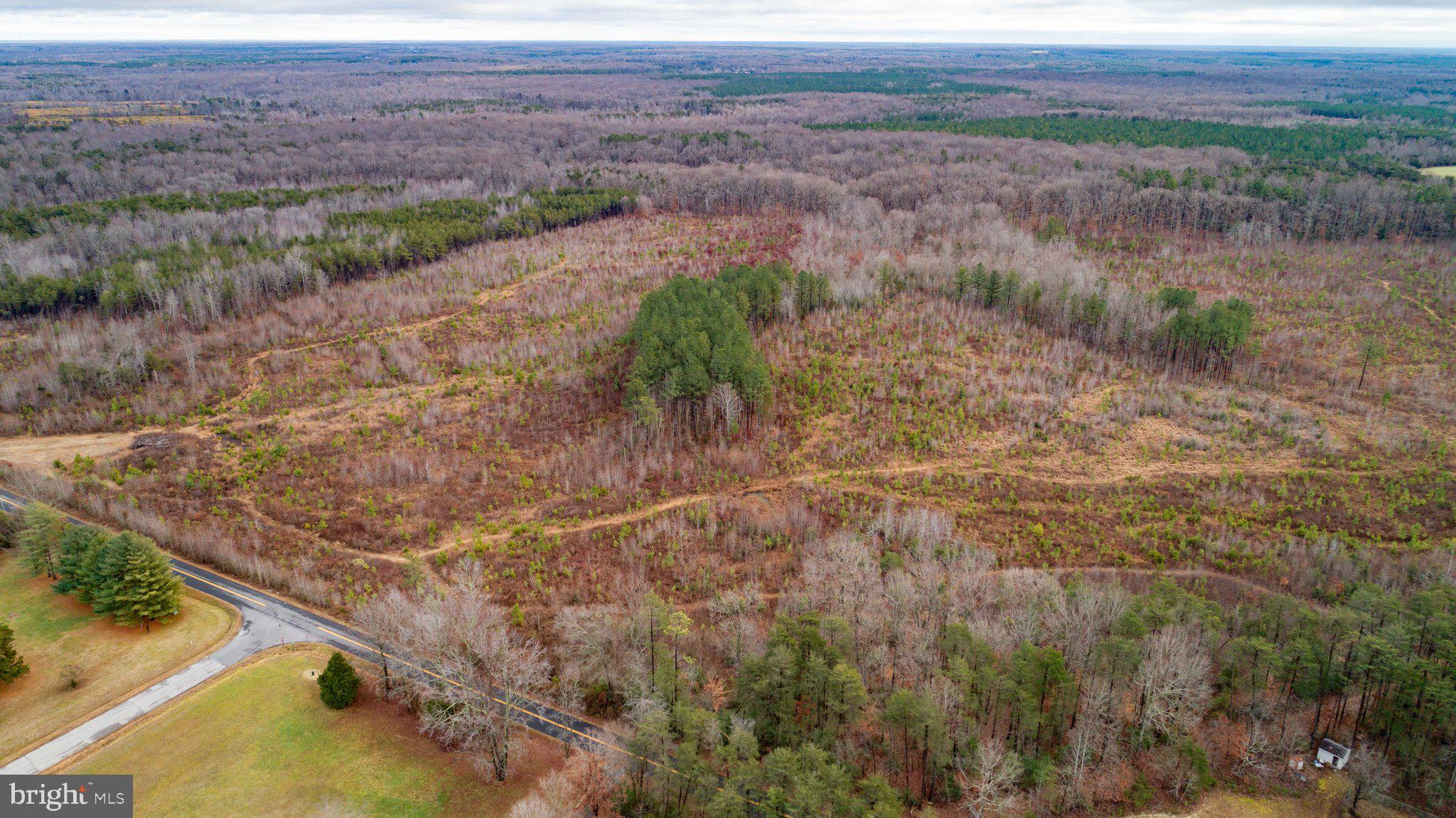 Dickerson Road Partlow, VA 22534 - Photo 1 of 15 Gallery Image 1