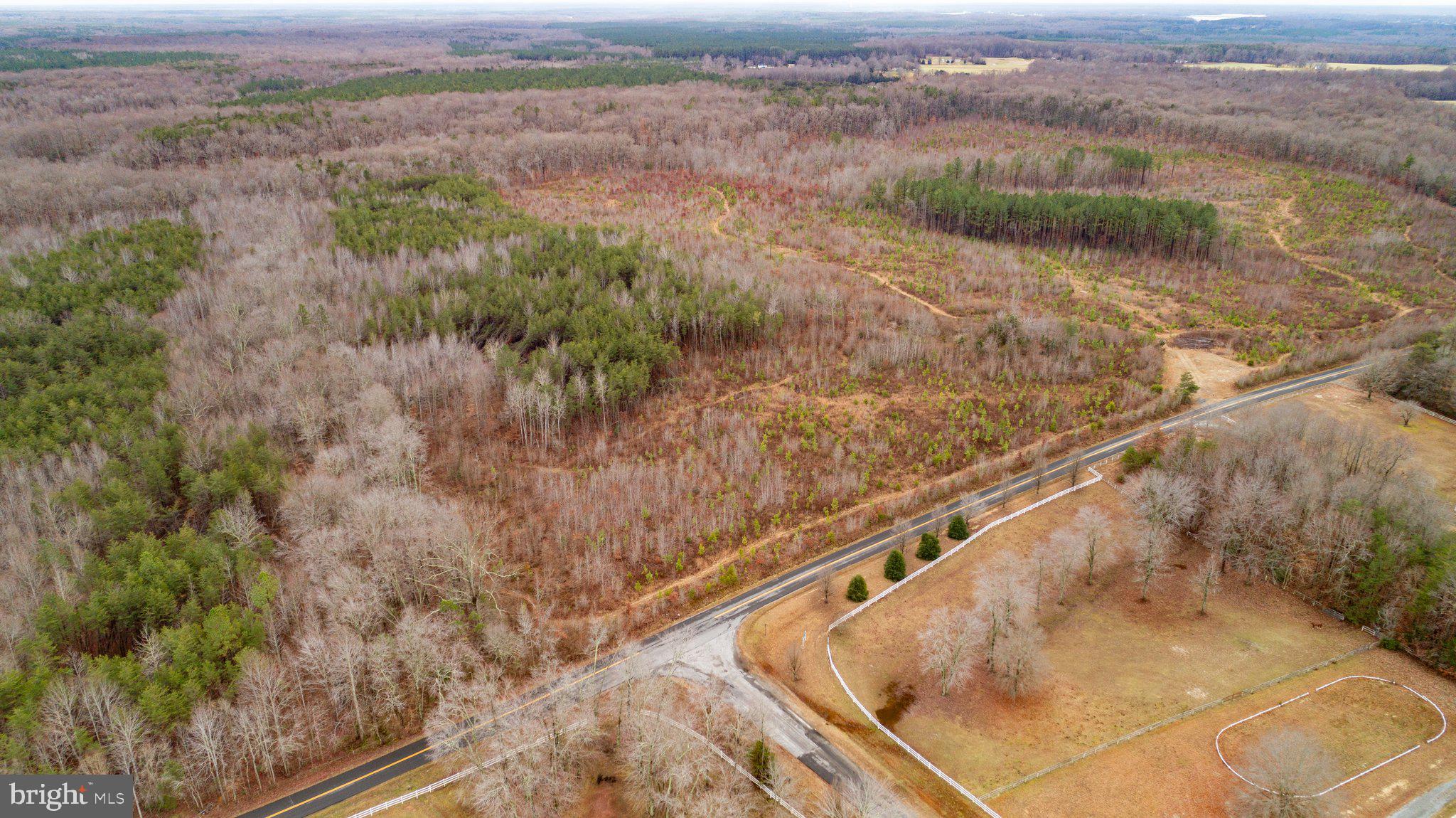 Dickerson Road Partlow, VA 22534 - Photo 4 of 15 Gallery Image 4