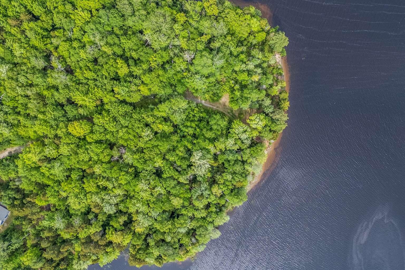 242 Tannery Brook Road Mariaville, ME 04605 - Photo 9 of 20