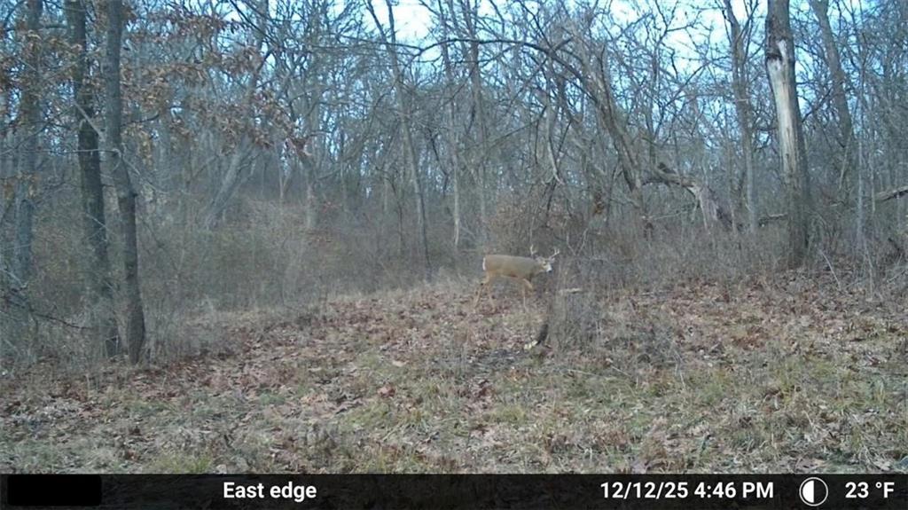 Northwest Waller Road Richmond, MO 64085 - Photo 74 of 80