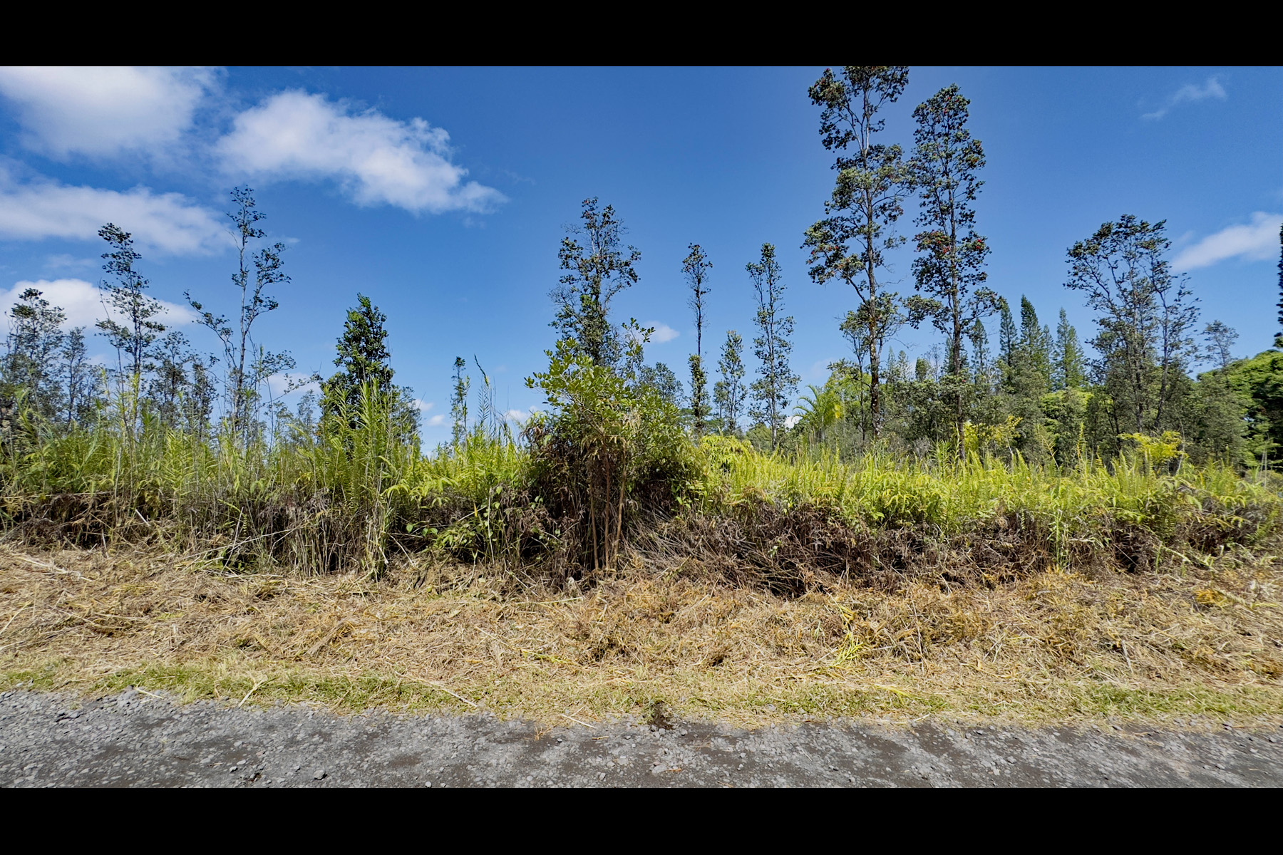 2444 Uhini Ana Road Mountain View, HI 96771 - Photo 10 of 27 a view of a yard with a tree