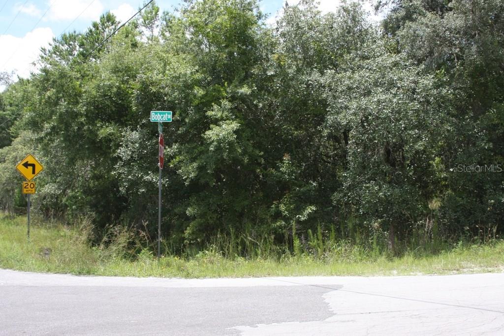 0 Lakeview Drive New Port Richey, FL 34654 - Photo 1 of 1