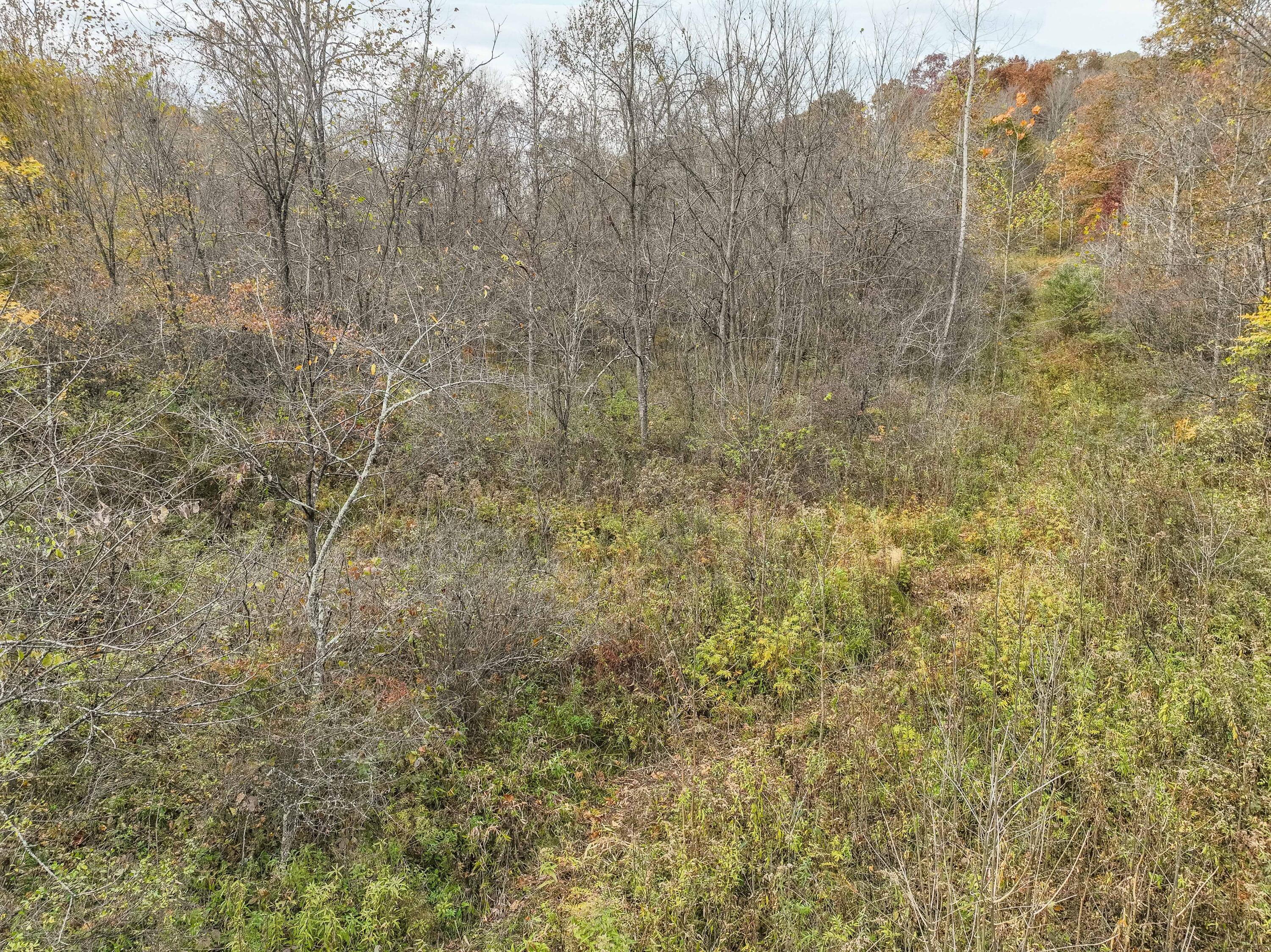 7111 Stoneburner Road Northwest Crooksville, OH 43731 - Photo 10 of 48 DJI_0075