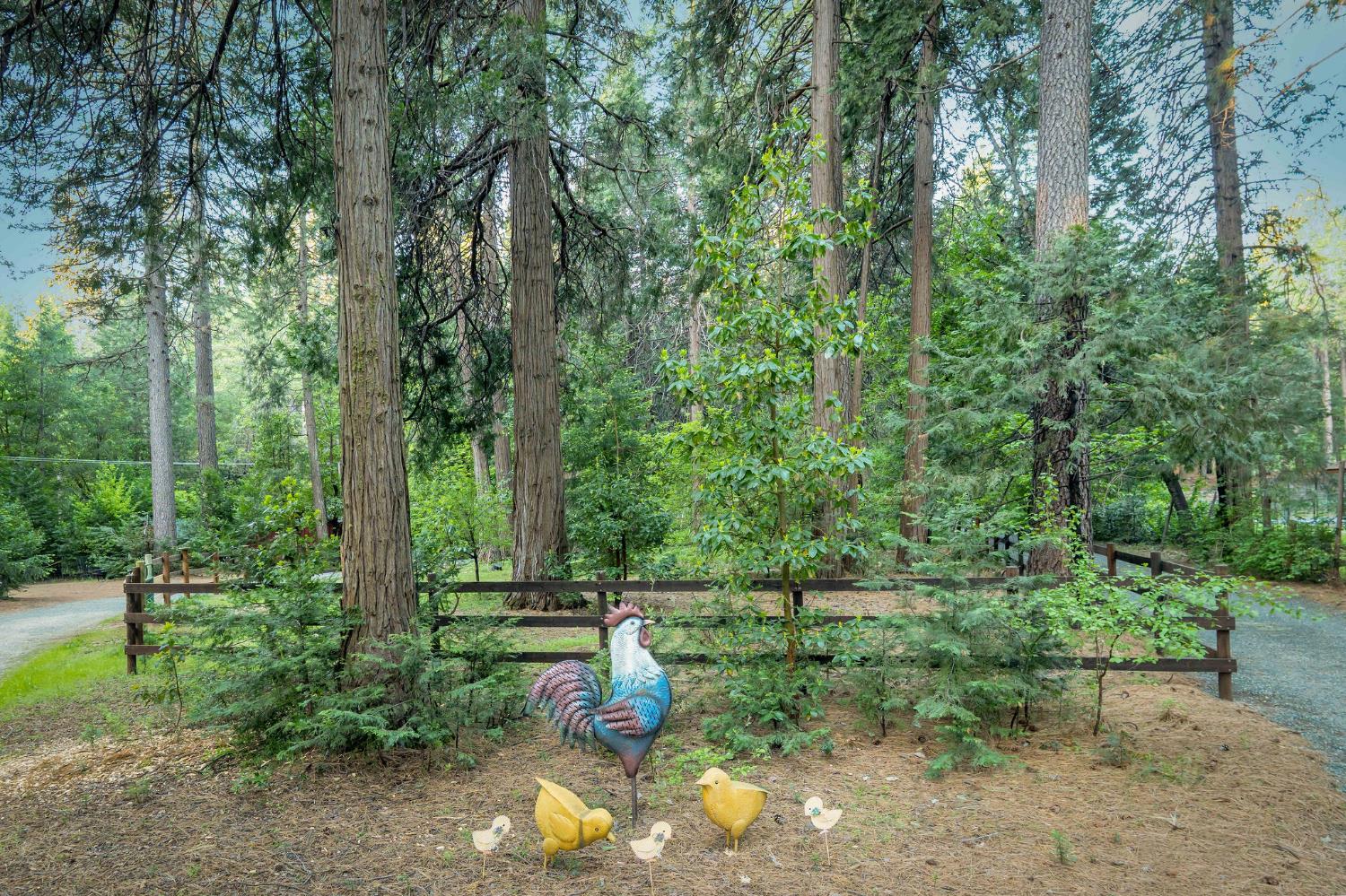 15188 North Bloomfield Road Nevada City, CA 95959 - Photo 67 of 73