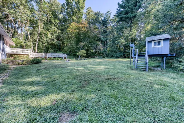 a view of a big yard with an tree