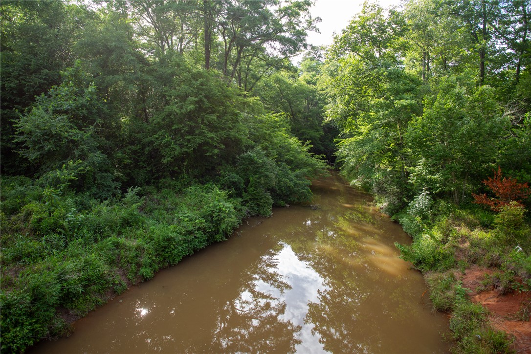 621 Burns Mill Road West Union, SC 29696 - Photo 3 of 45 Experience tranquil natural beauty along a flowing stream, embraced by lush, mature trees.