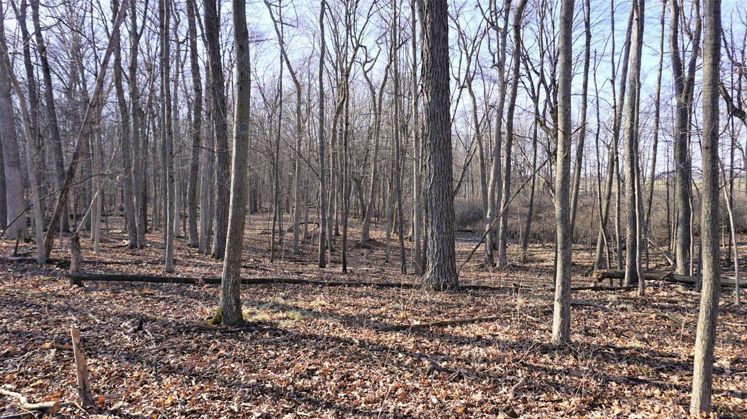 1105 North Lima Center Road Dexter, MI 48130 - Photo 49 of 63 Photo 49