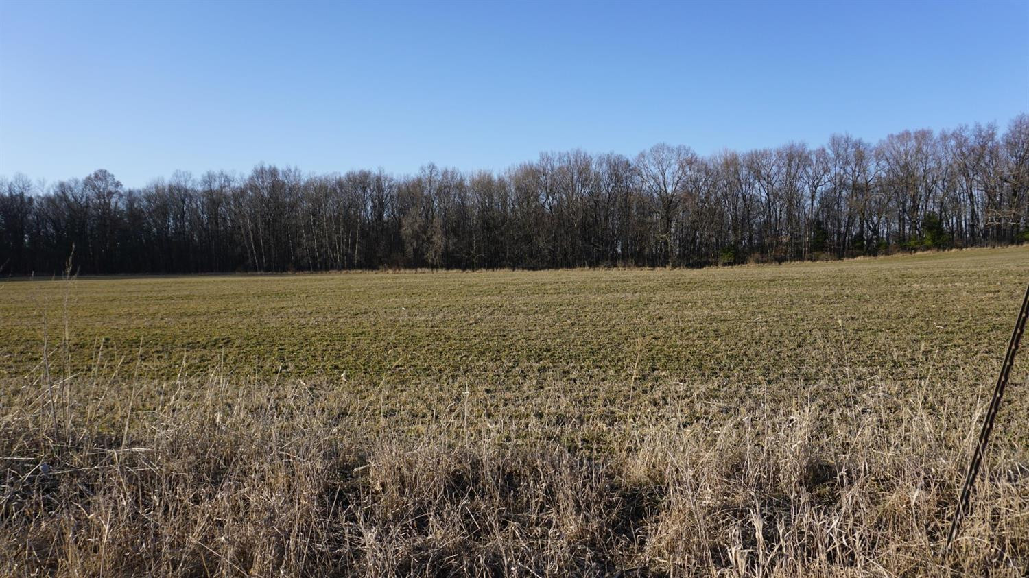 1105 North Lima Center Road Dexter, MI 48130 - Photo 61 of 63 Photo 61