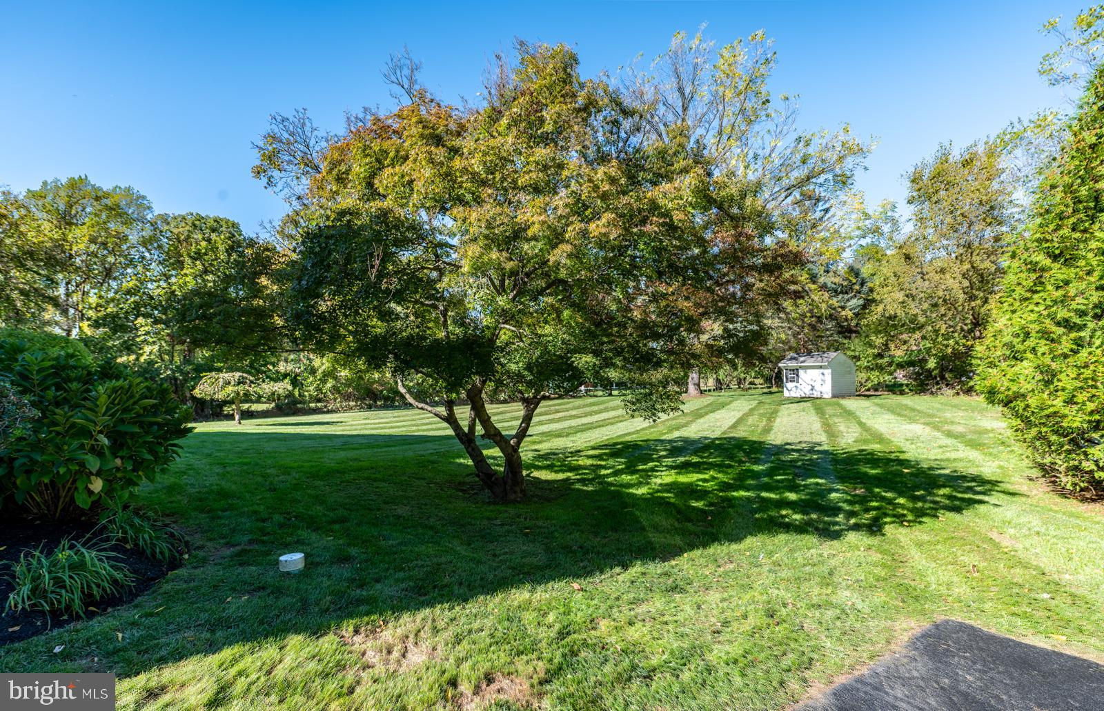 1060 West King Road Malvern, PA 19355 - Photo 79 of 90 a view of yard with green space