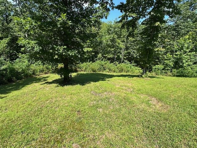 2082 Airport Ridge Road Linden, TN 37096 - Photo 29 of 29 a view of yard with green space