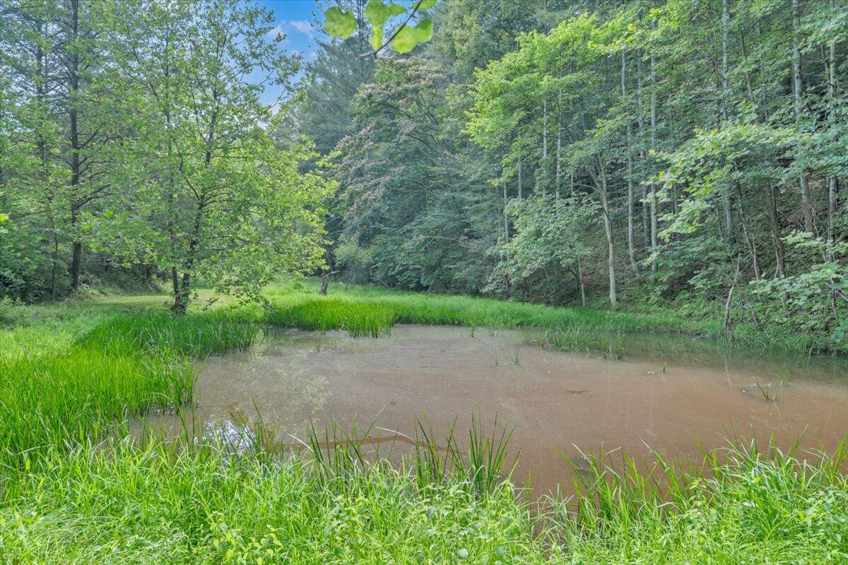 6624 Franklin Road Boones Mill, VA 24065 - Photo 39 of 57 39-MIB04792