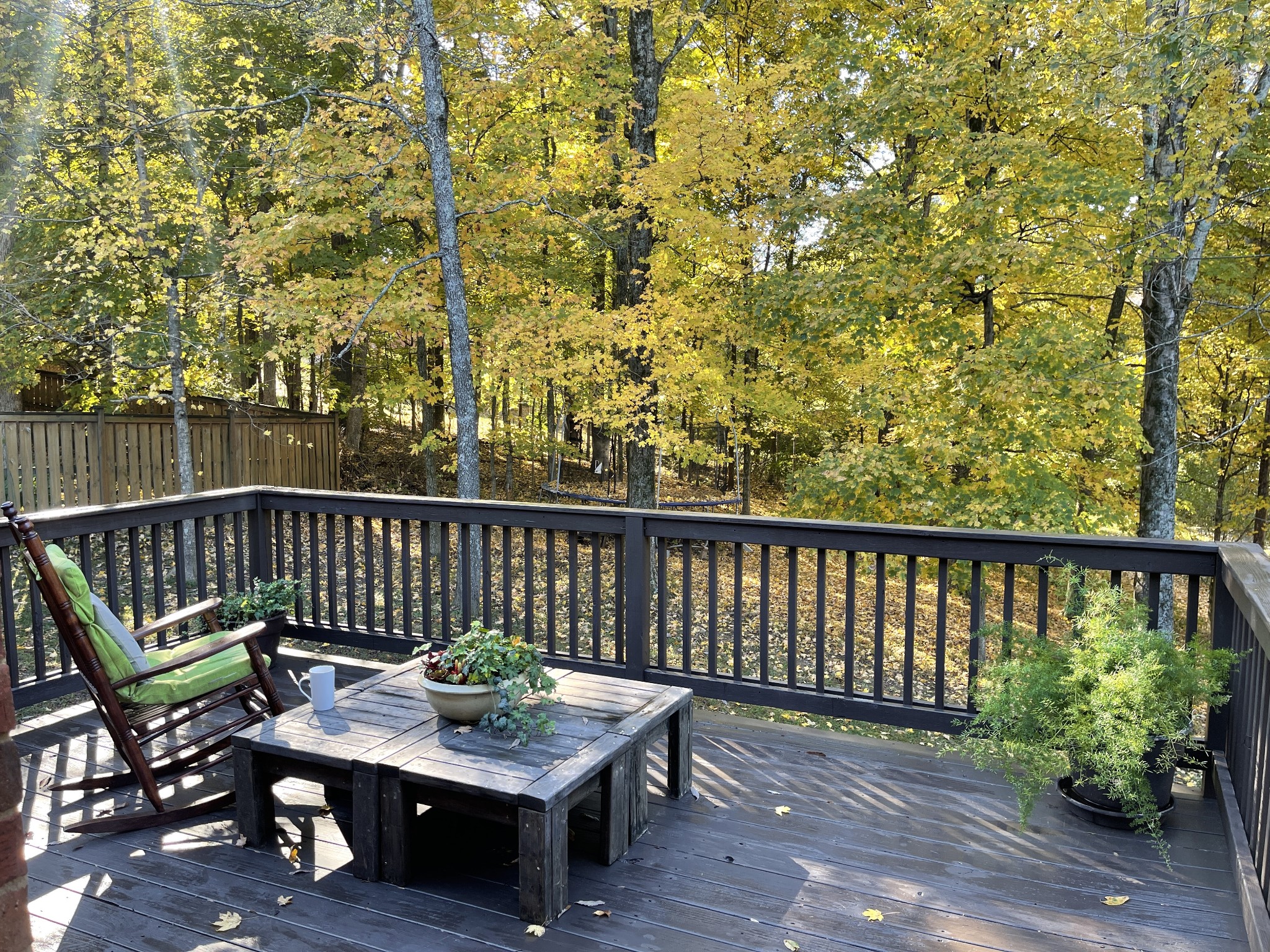 135 Ridgeview Trace Hendersonville, TN 37075 - Photo 29 of 49 Gallery Image 29