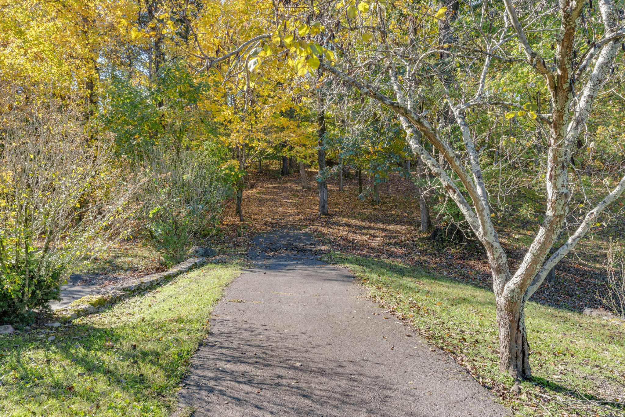 135 Ridgeview Trace Hendersonville, TN 37075 - Photo 30 of 49 Gallery Image 30