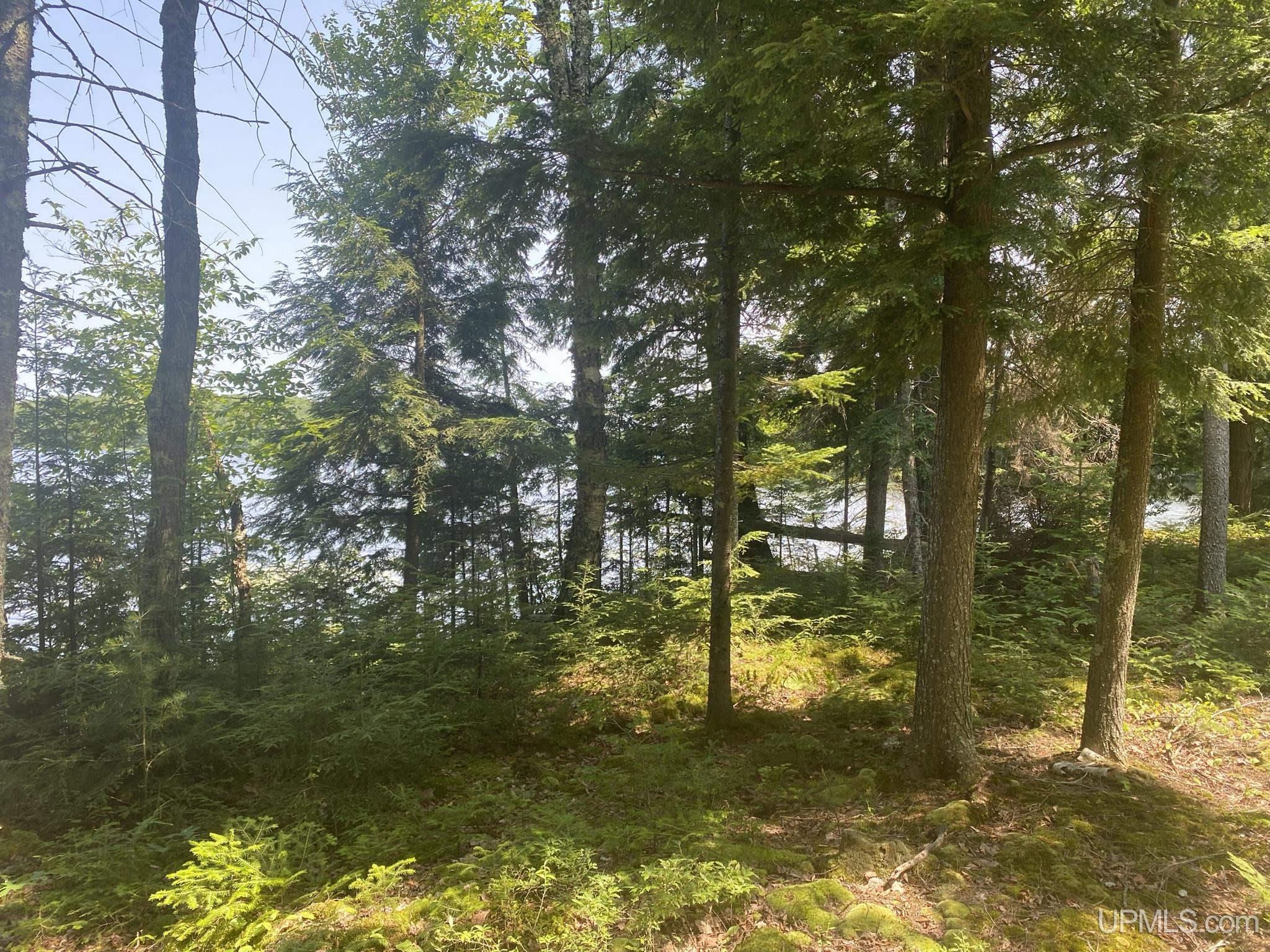 Tbd Tbd En-a-wen-da-win Road Watersmeet, MI 49969 - Photo 4 of 35