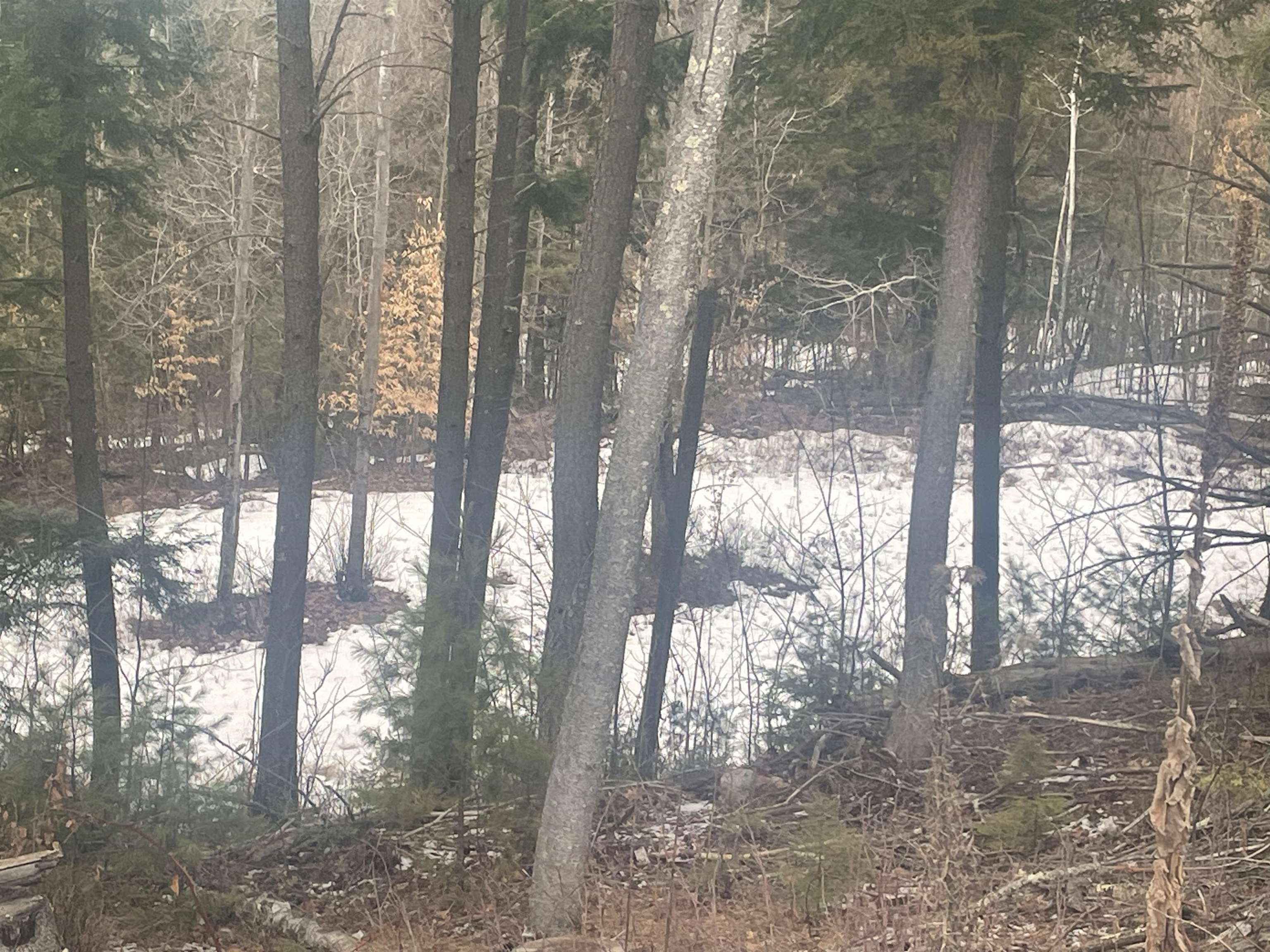 46-2 Benton Road, Unit 2 North Haverhill, NH 03774 - Photo 16 of 21