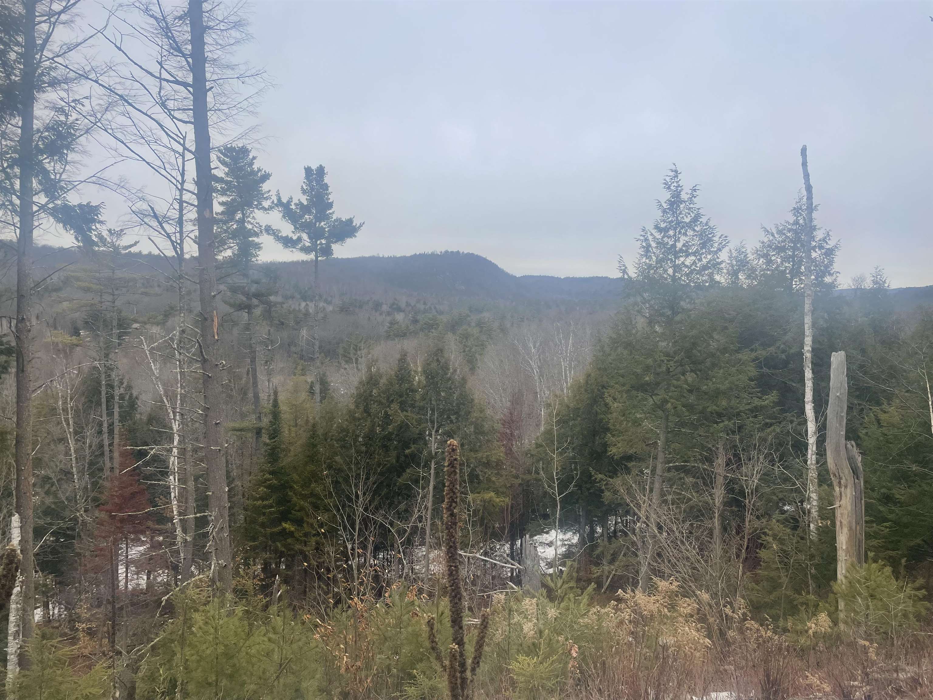 46-2 Benton Road, Unit 2 North Haverhill, NH 03774 - Photo 9 of 21