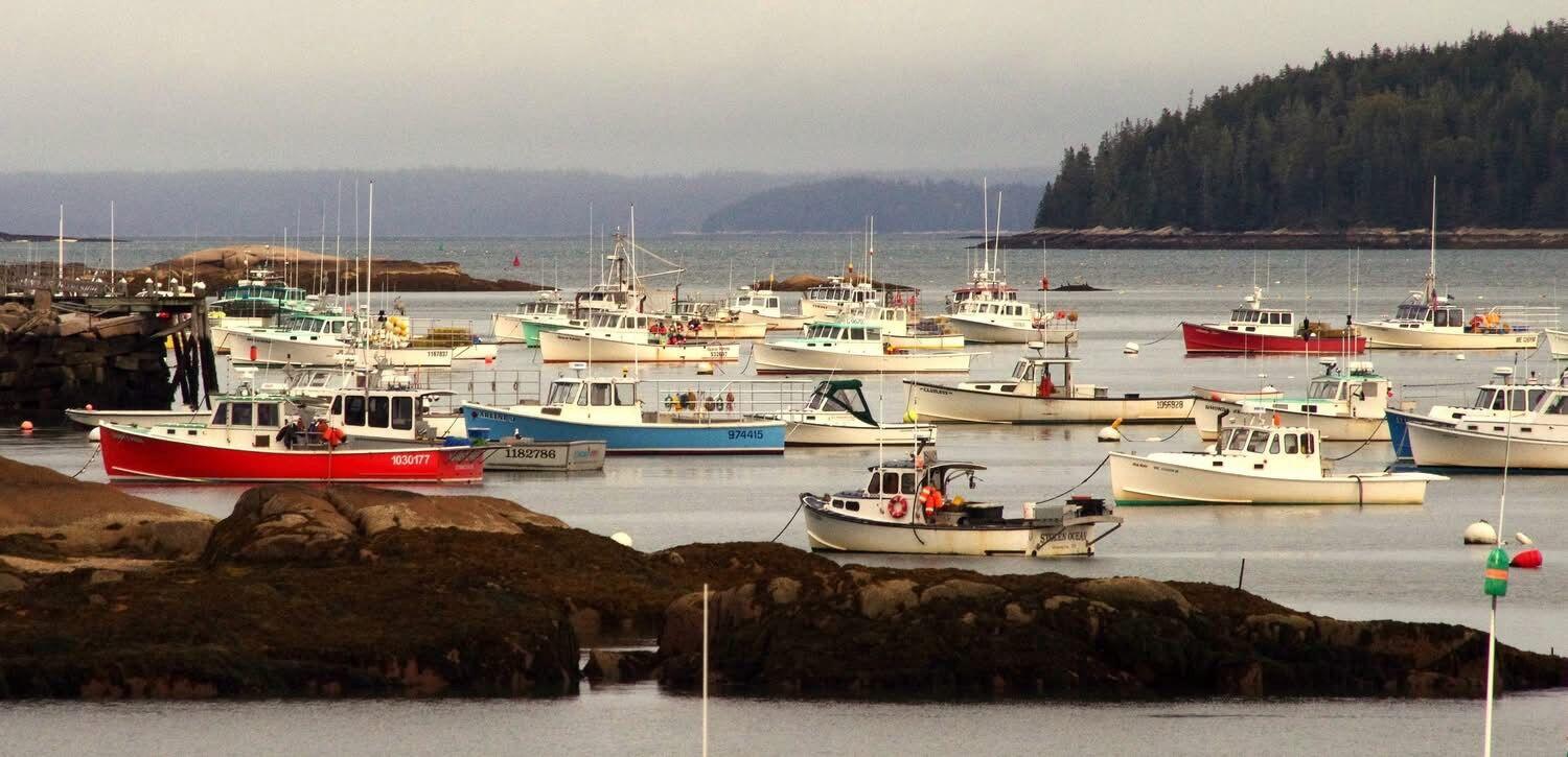 20 Tea Hill Road Stonington, ME 04681 - Photo 20 of 20 Coastal_Harbor_Nearby