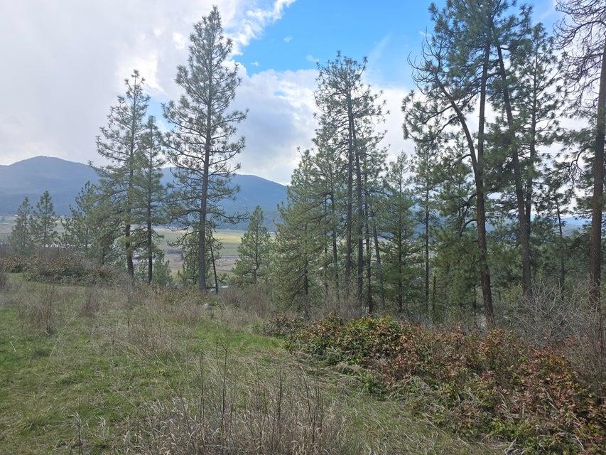Tbd Buena Vista Road Colville, WA 99114 - Photo 8 of 12 Gallery Image 8