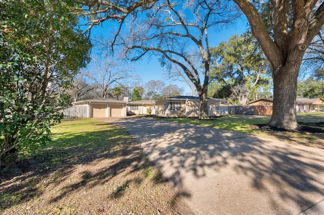 a view of a yard with plants and a large tree