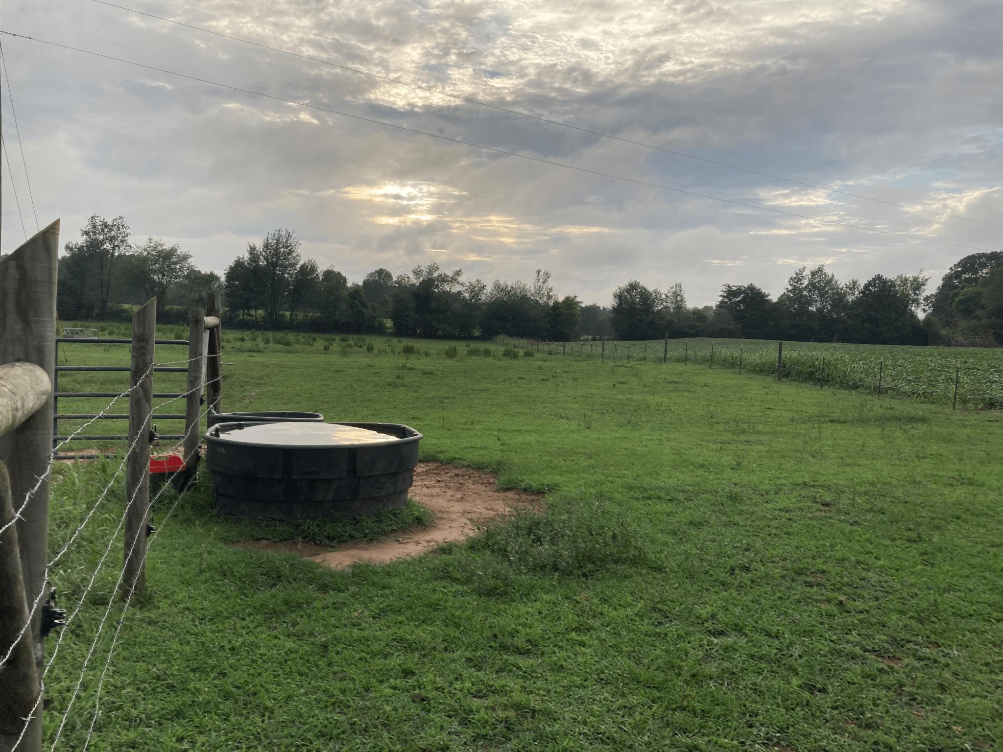 0 Swan Road Old Fort, TN 37362 - Photo 1 of 20