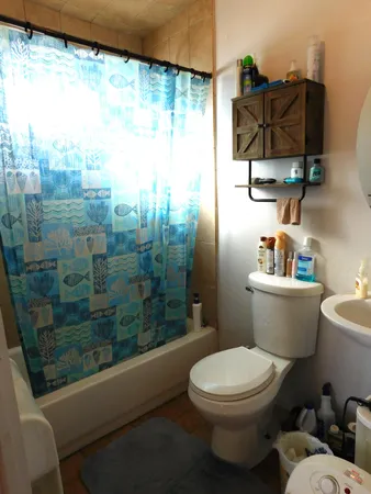 a bathroom with a toilet a sink and a shower