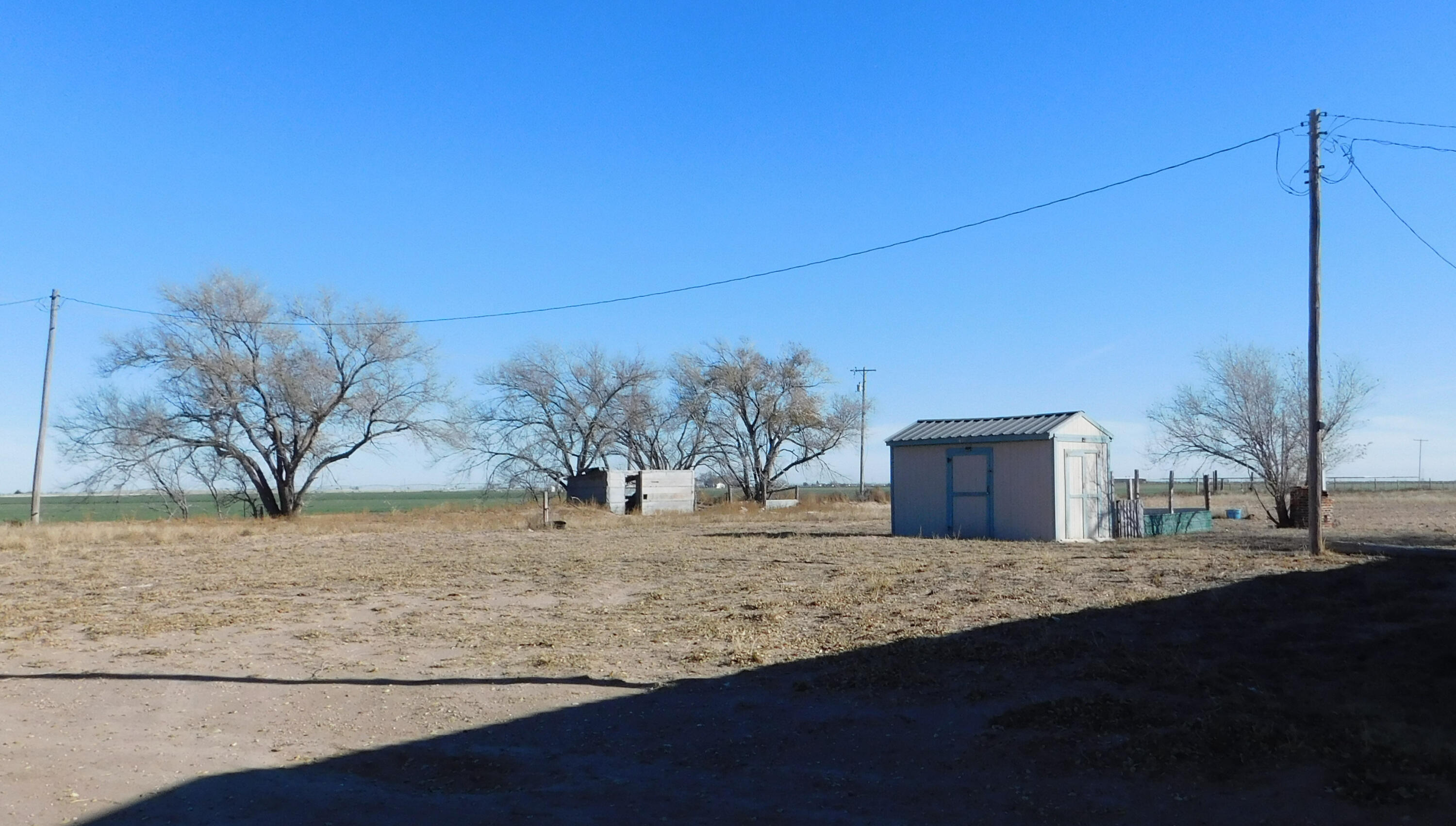 431 County Road 225 Muleshoe, TX 79347 - Photo 14 of 21 a view of a yard with a snow on the road
