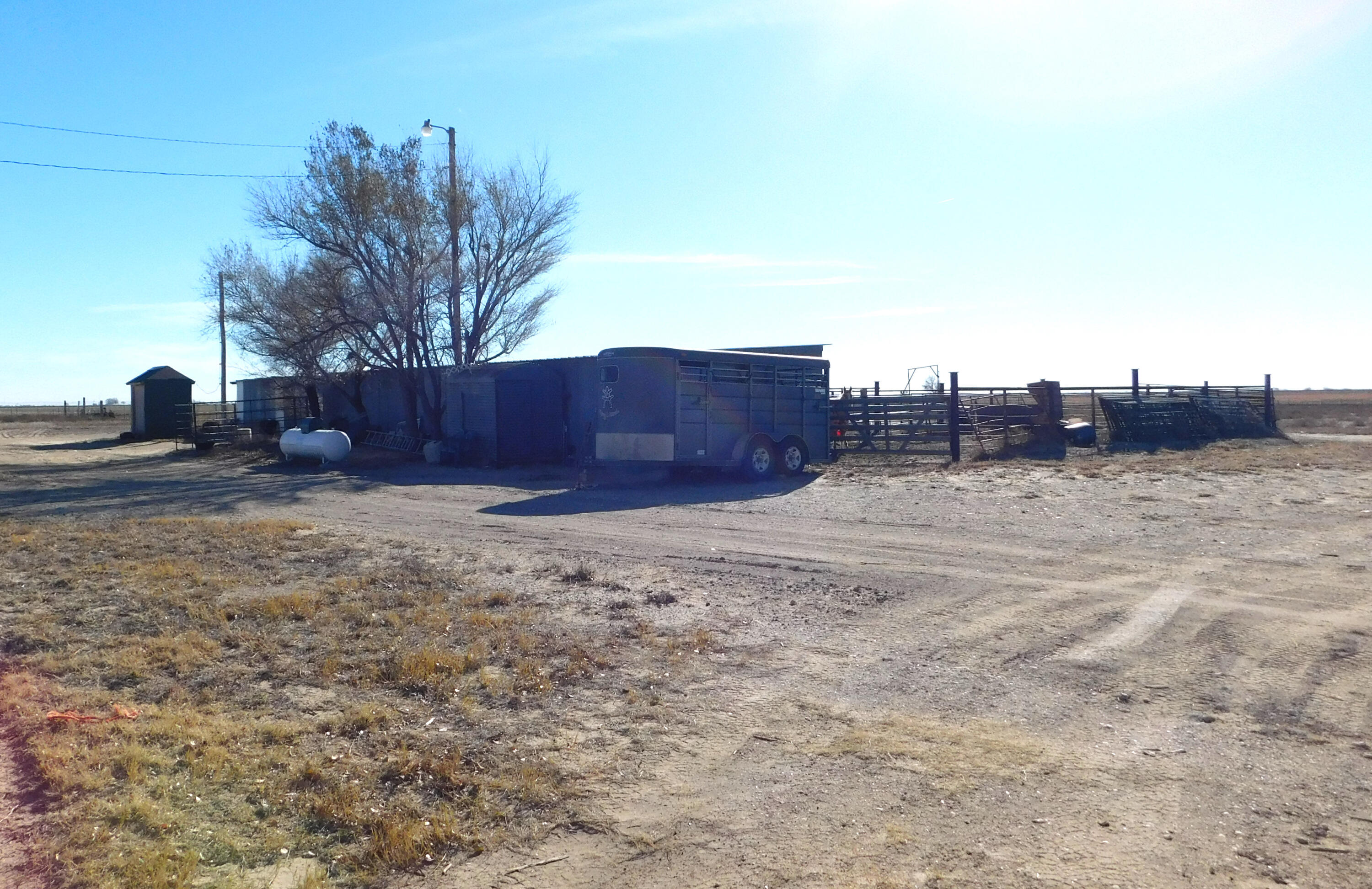 431 County Road 225 Muleshoe, TX 79347 - Photo 15 of 21 a view of a yard