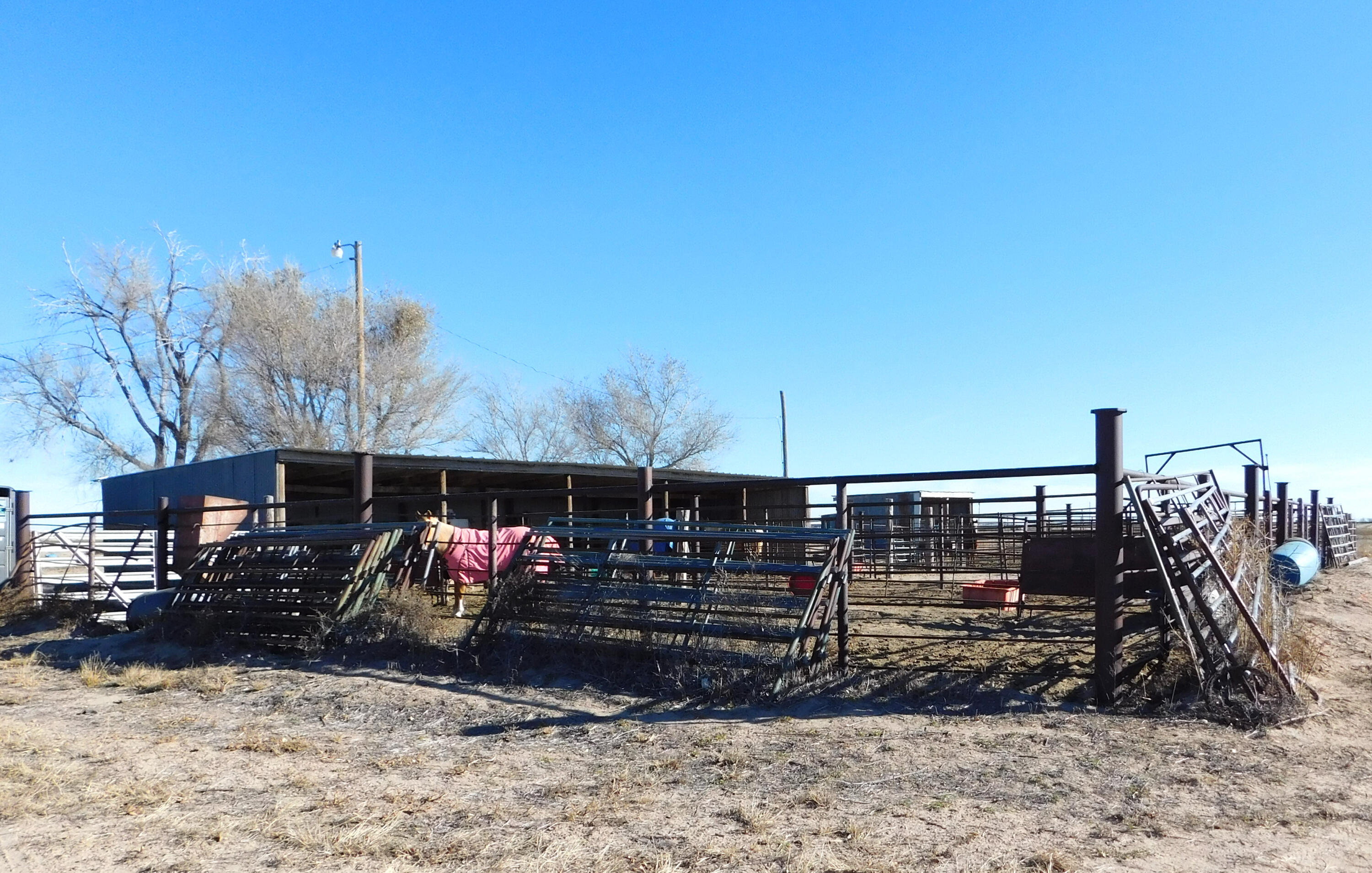431 County Road 225 Muleshoe, TX 79347 - Photo 18 of 21 a view of outdoor space