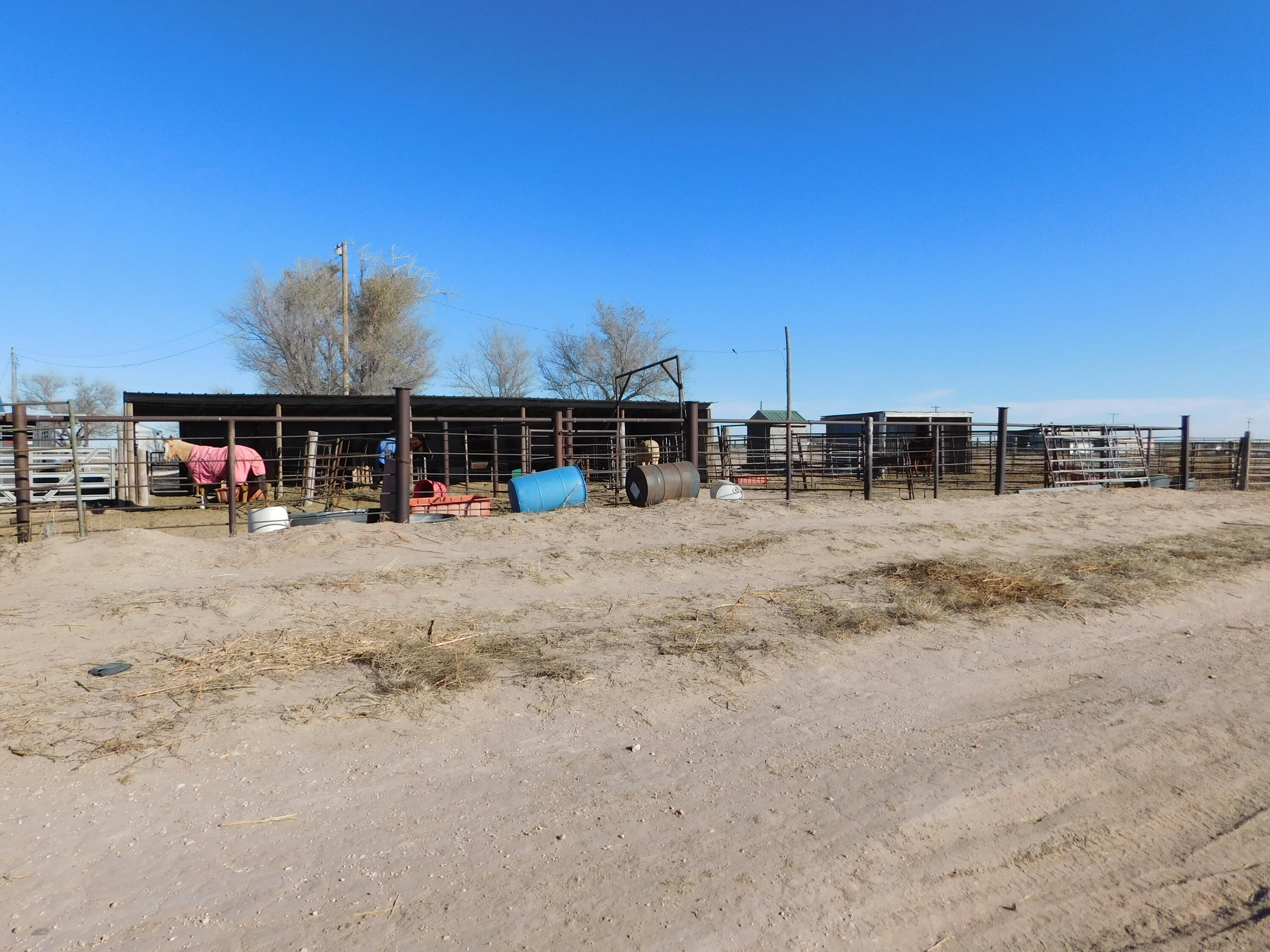 431 County Road 225 Muleshoe, TX 79347 - Photo 19 of 21