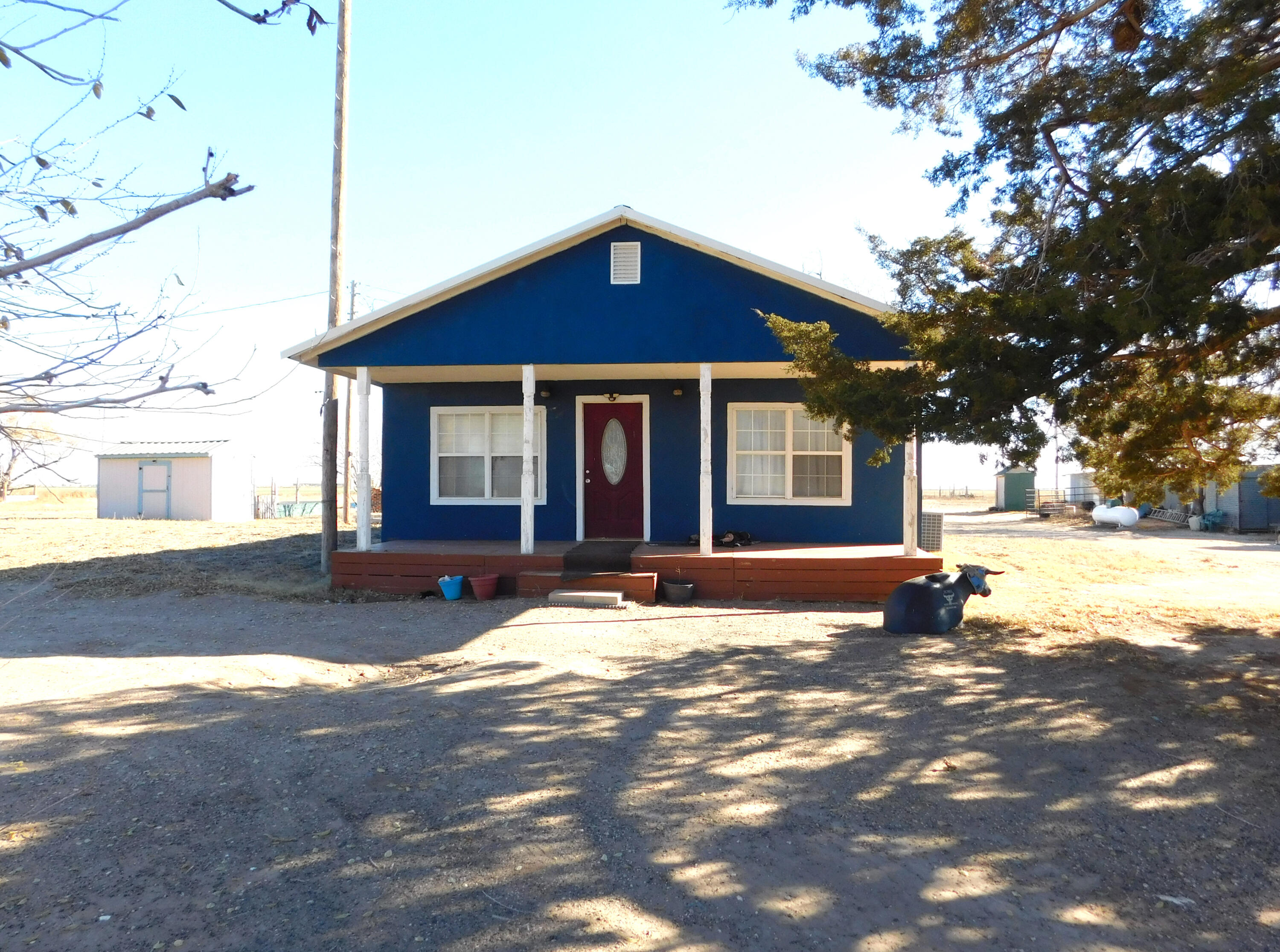 431 County Road 225 Muleshoe, TX 79347 - Photo 21 of 21 a view of a yard in front of a house