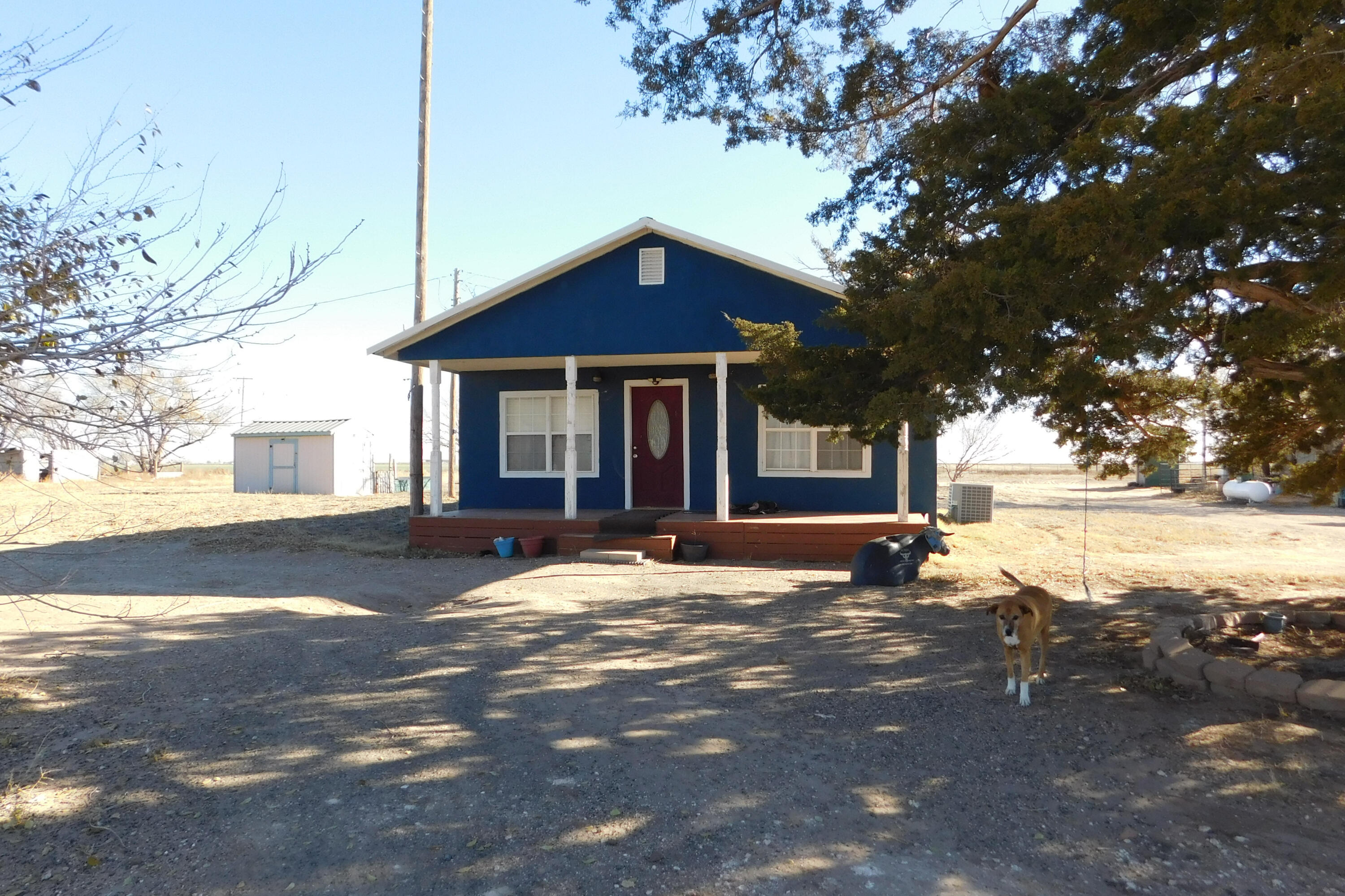 431 County Road 225 Muleshoe, TX 79347 - Photo 4 of 21 a view of a house with a yard next to a road