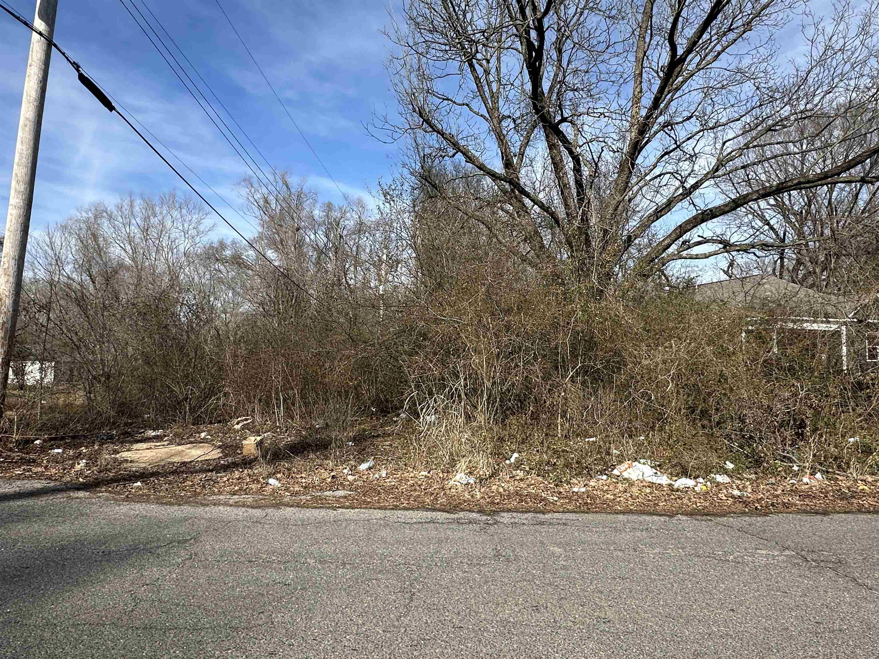 2492 Smith Ridge Road Memphis, TN 38127 - Photo 2 of 5