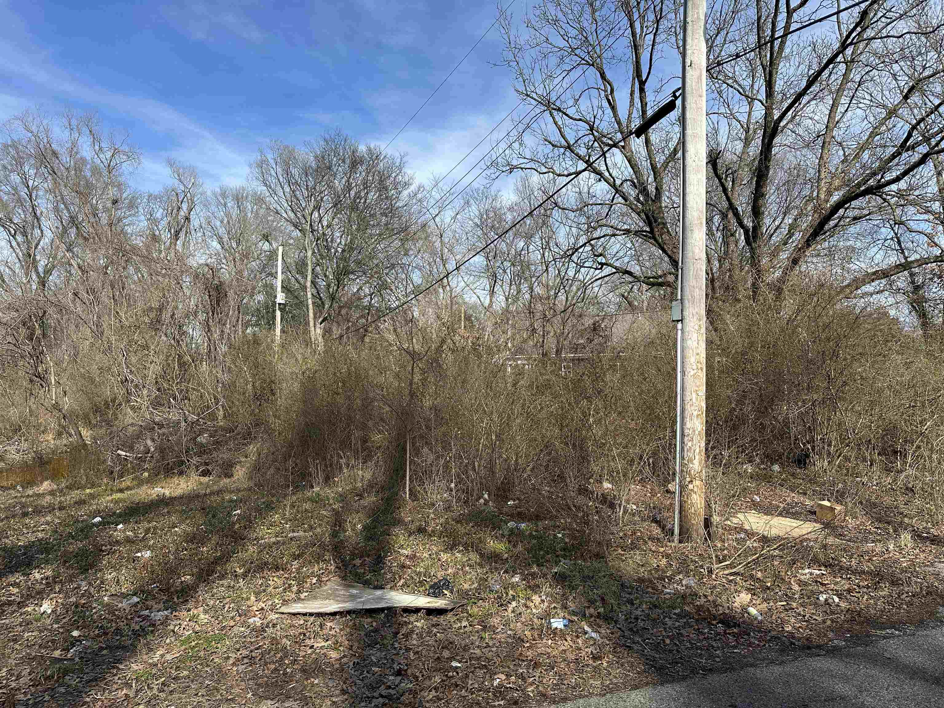 2492 Smith Ridge Road Memphis, TN 38127 - Photo 3 of 5 a view of a tree with a yard
