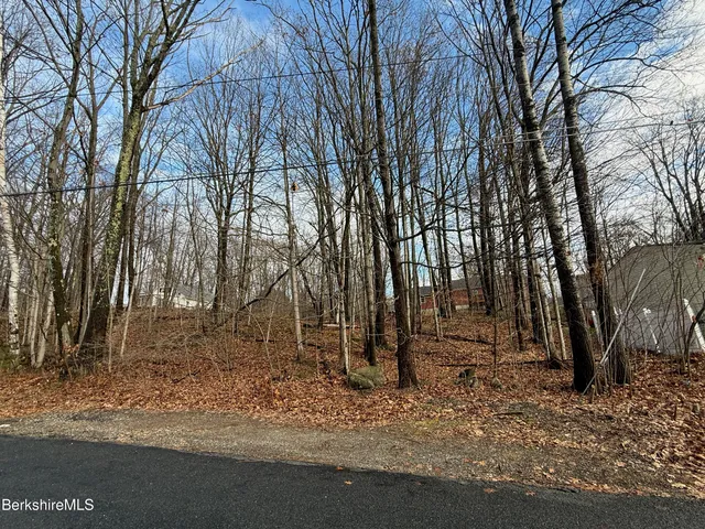 a view of backyard with green space