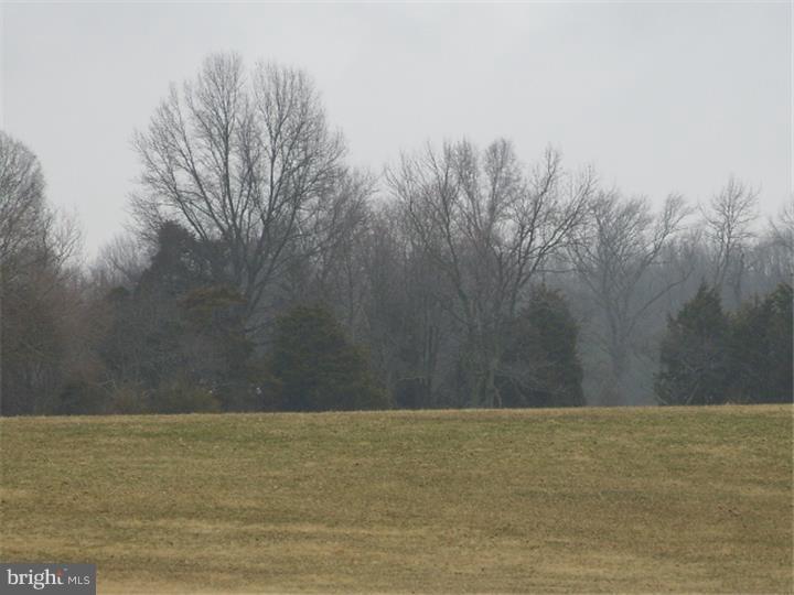 0 Sandy Ridge Road Salem, NJ 08079 - Photo 1 of 6