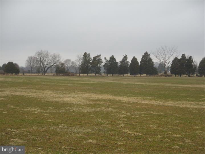 0 Sandy Ridge Road Salem, NJ 08079 - Photo 3 of 6