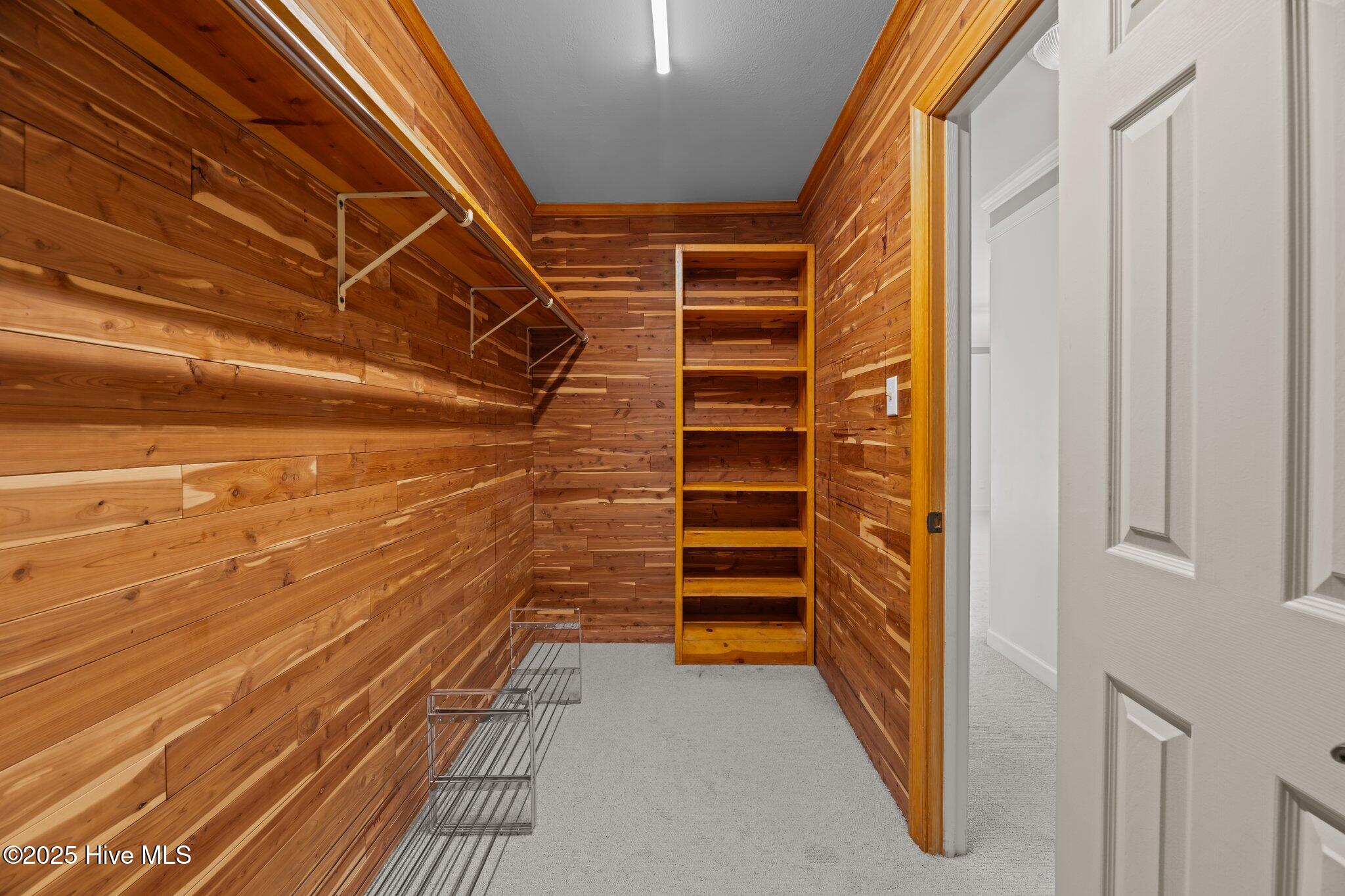 204 Castle Ridge Road New Bern, NC 28562 - Photo 21 of 42 wonder cedar lined closet